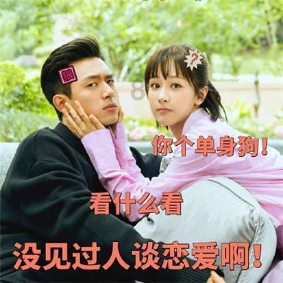 淘气兔救援